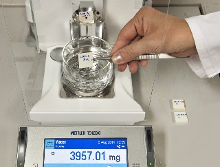 Precision scale for determination of density