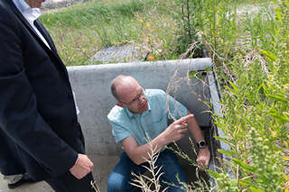 man with green shirt pointing at something