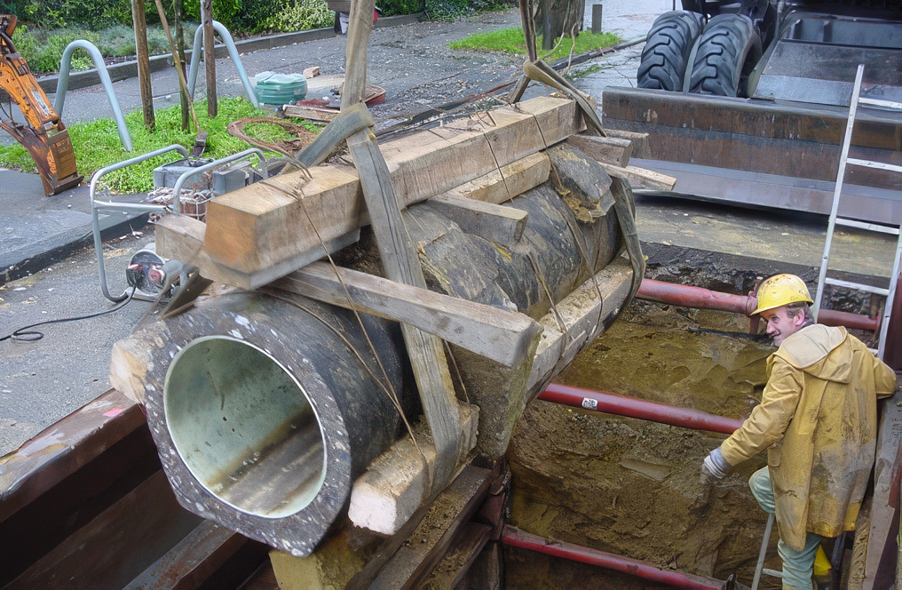 Removal of a CIPP liner together with the host pipe for examination